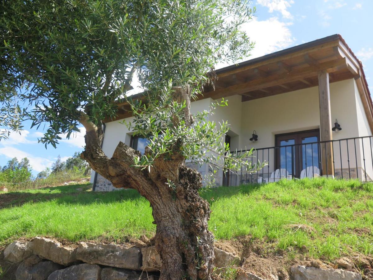 La Casina Del Olivo Villa Ribadesella Dış mekan fotoğraf