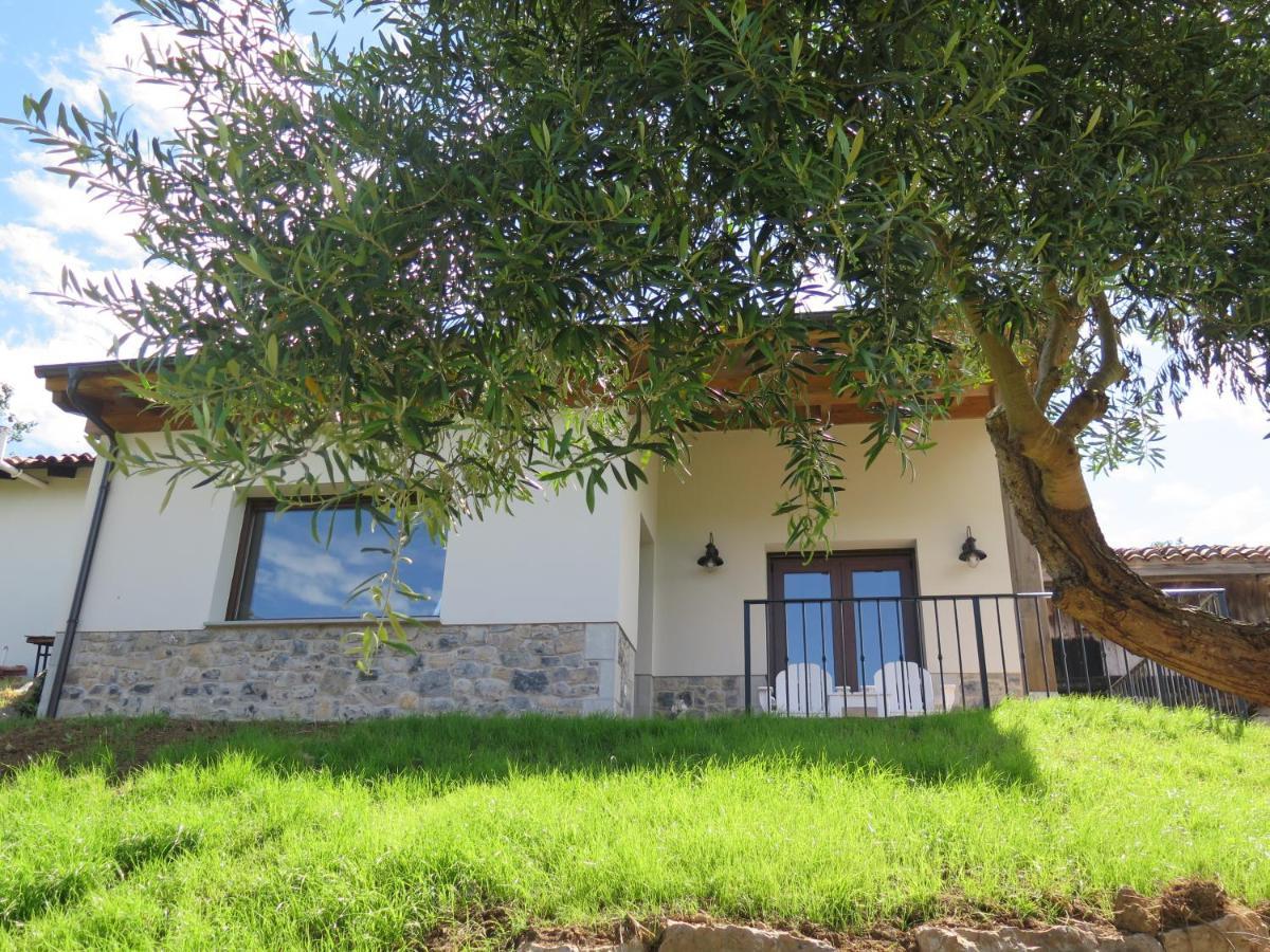 La Casina Del Olivo Villa Ribadesella Dış mekan fotoğraf